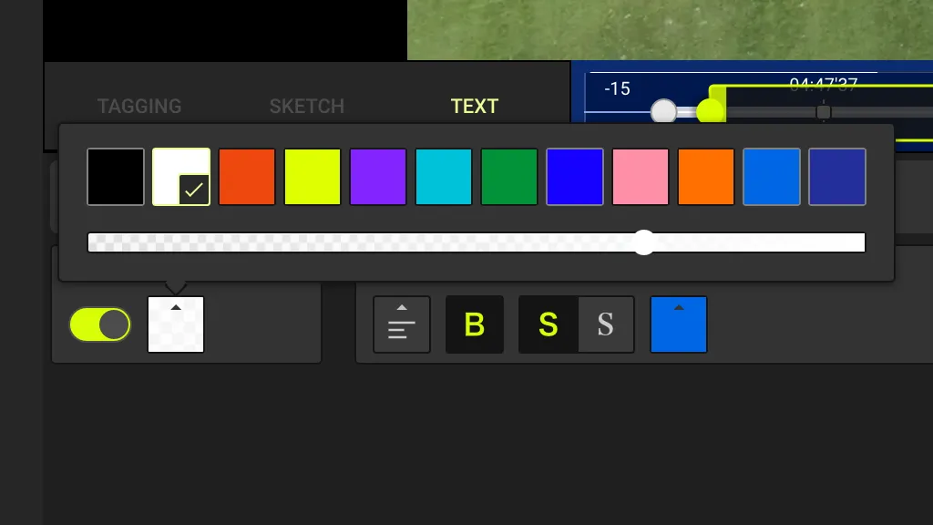 Screenshot: Caption Text