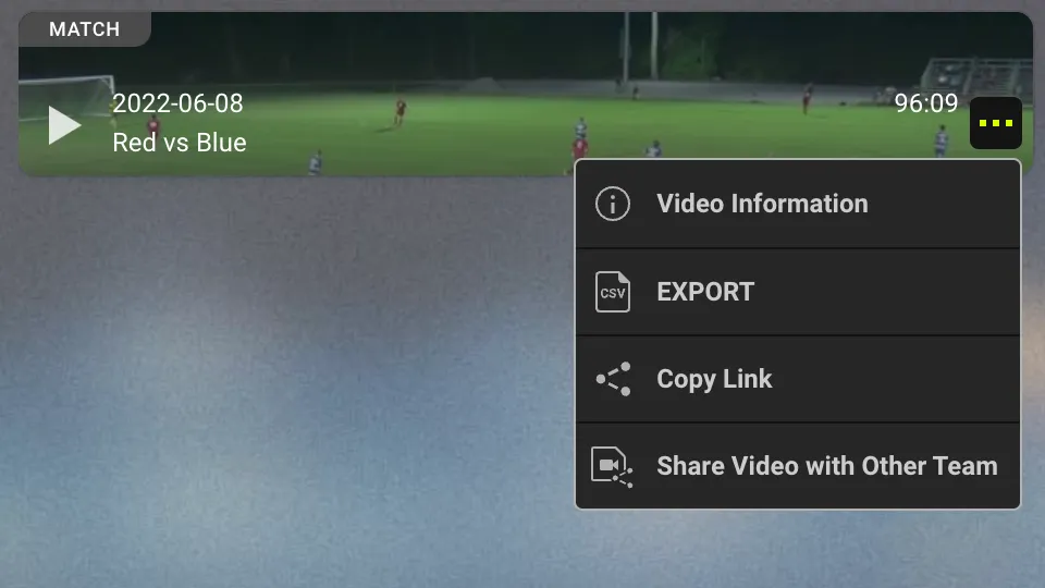 Screenshot for step 1: Open video info window